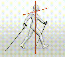 LTSA, Latvijas Tautas Sporta Asociācija LTSA, Latvijas Tautas Sporta Asociācija
