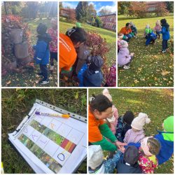 Veselības nedēļa 2025. Fotogalerija - LTSA, Latvijas Tautas Sporta Asociācija