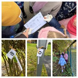 Veselības nedēļa 2025. Fotogalerija - LTSA, Latvijas Tautas Sporta Asociācija